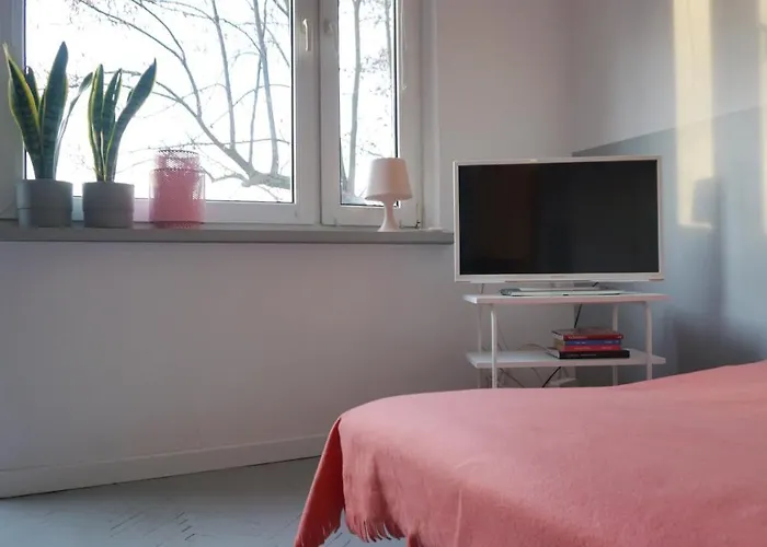 Lovely Madly Apartment